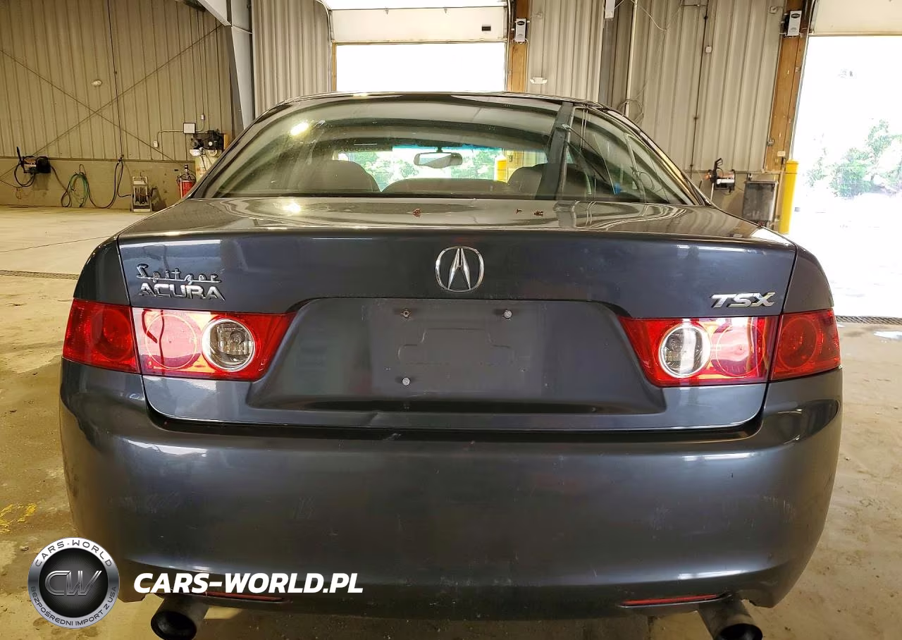 2004 Acura Tsx VIN:JH4CL96934C031938 - 6