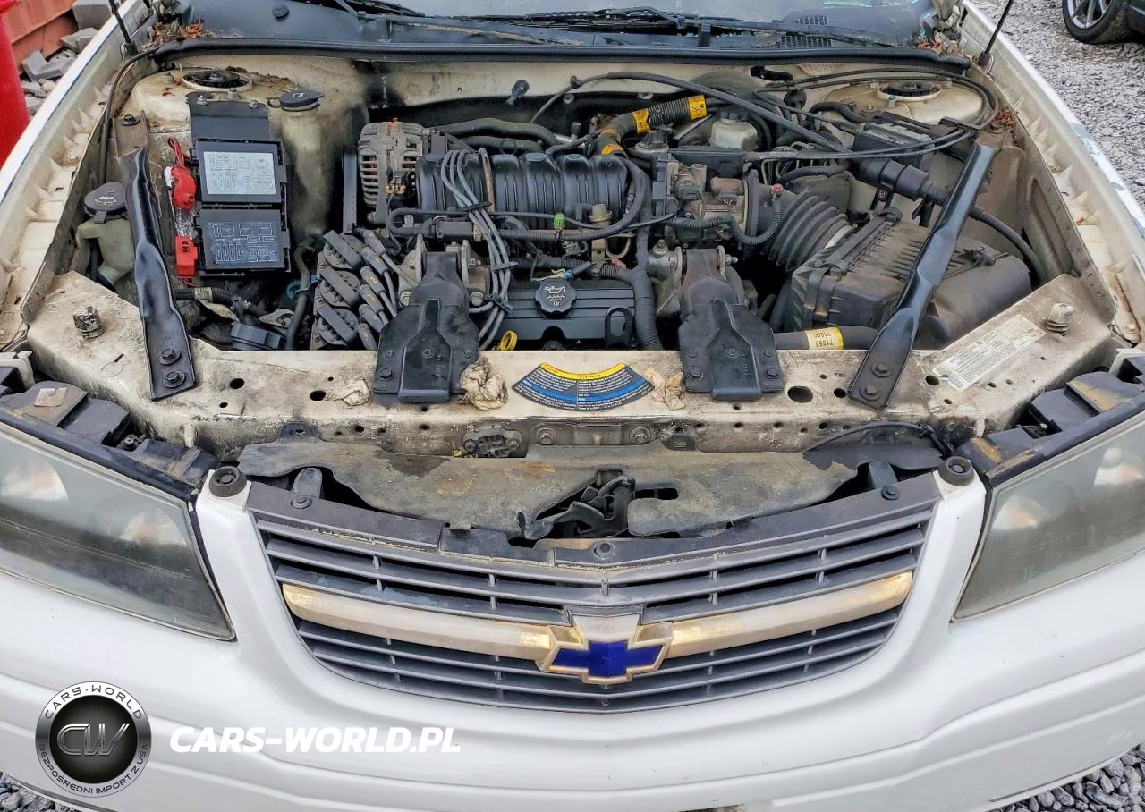 2004 Chevrolet Impala Ls VIN:2G1WH52K049268159 - 11