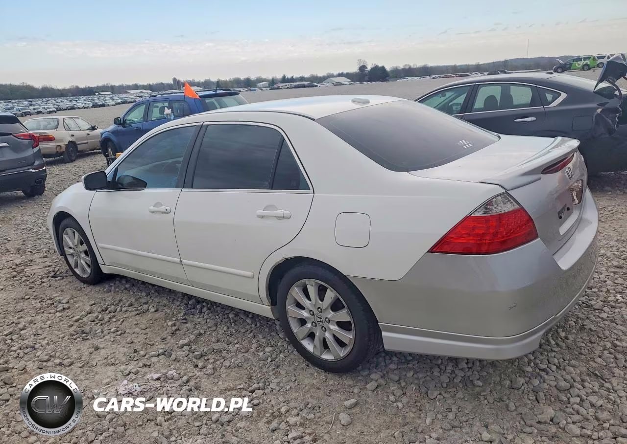 2007 Honda Accord Ex VIN:1HGCM66597A029106 - 2