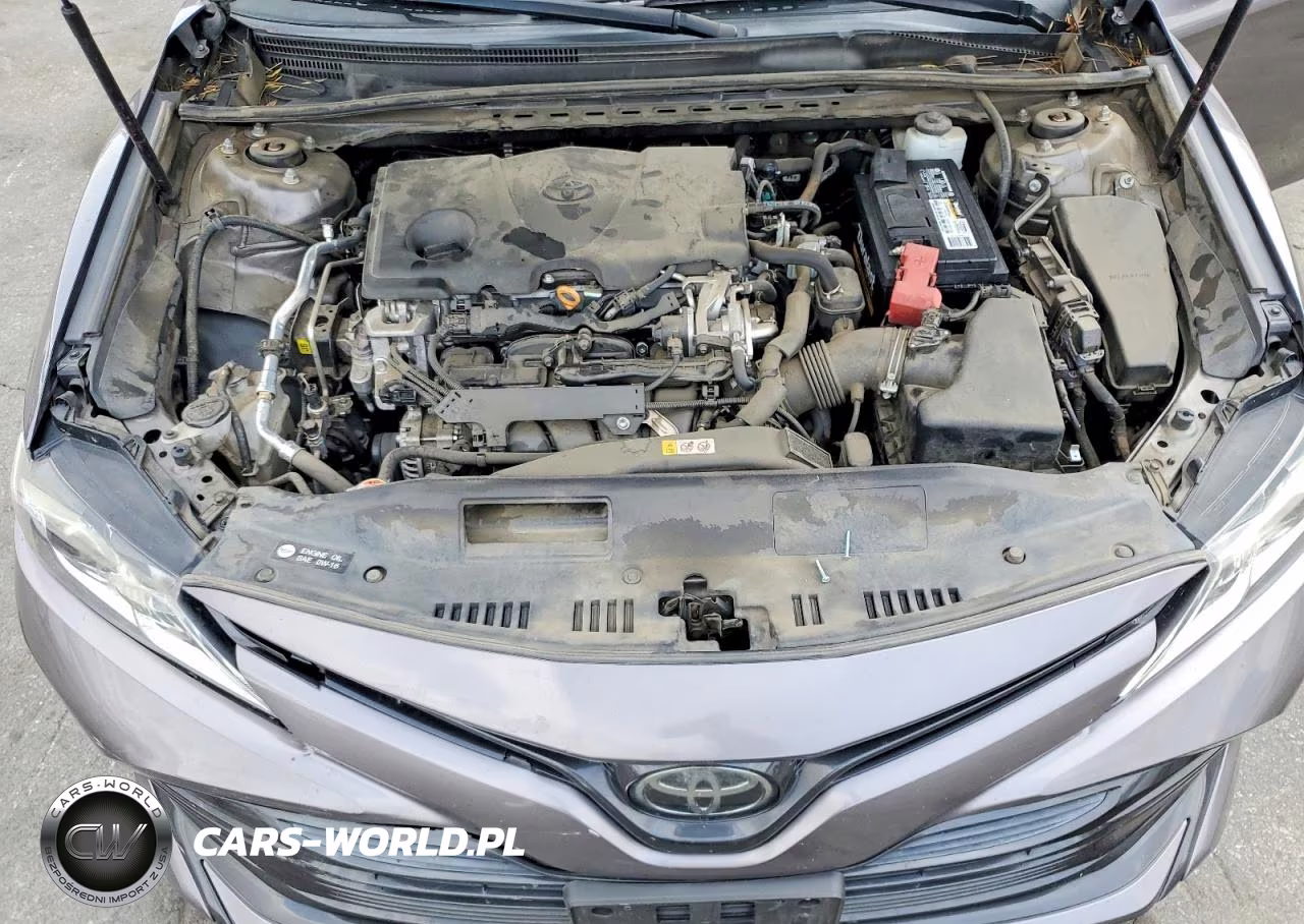 2019 Toyota Camry Le VIN:4T1B11HK1KU811704 - 11
