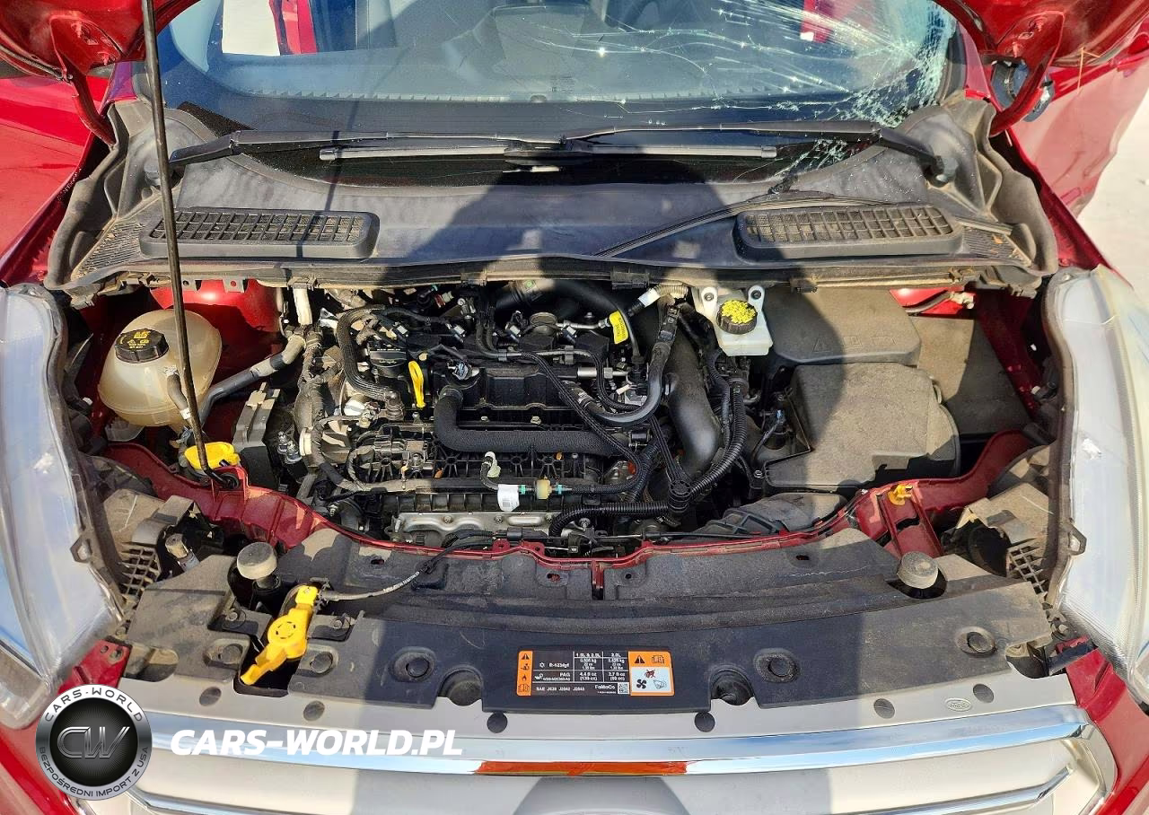 2019 Ford Escape Se VIN:1FMCU0GD5KUA04689 - 12