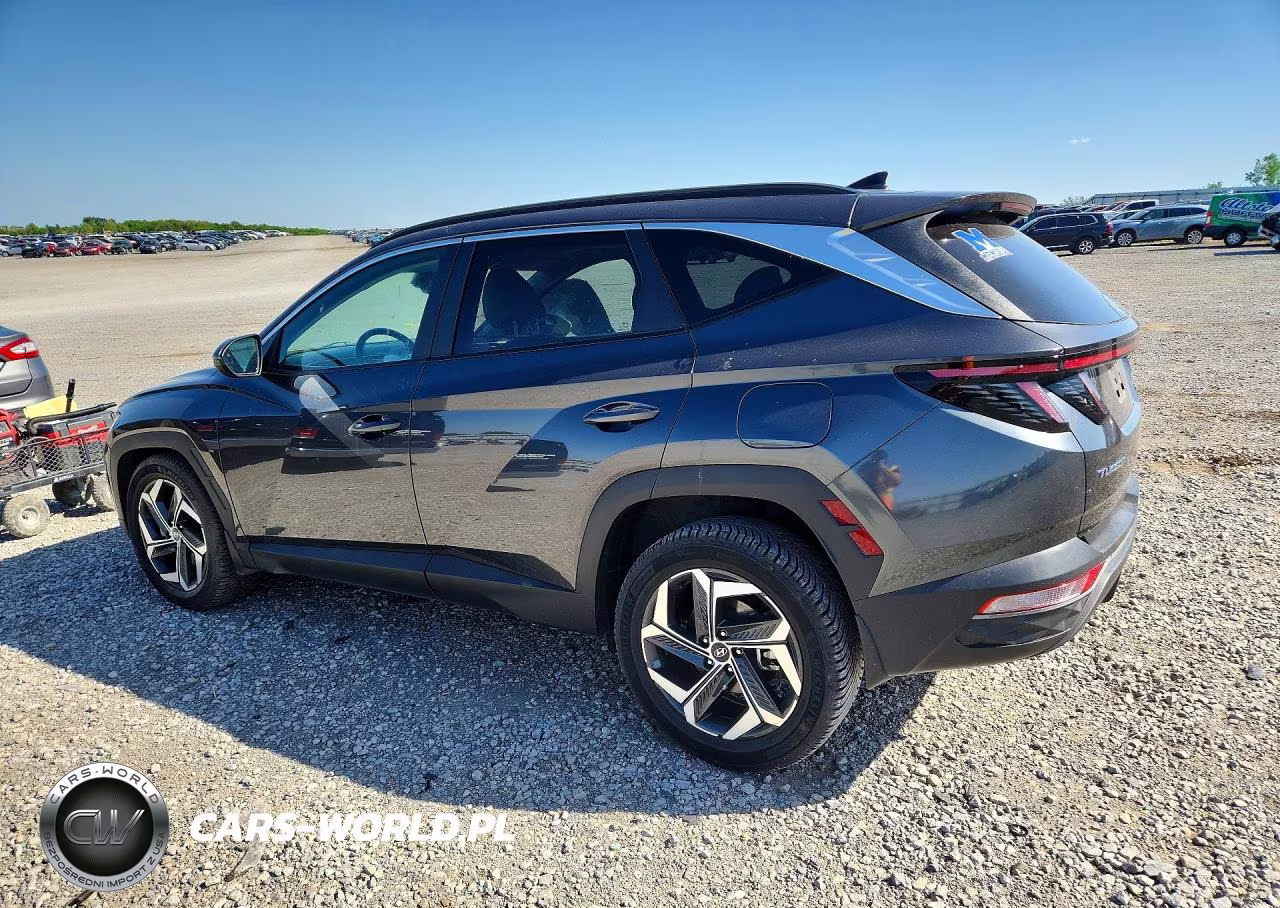 2024 Hyundai Tucson Sel VIN:5NMJFCDE1RH310181 - 2