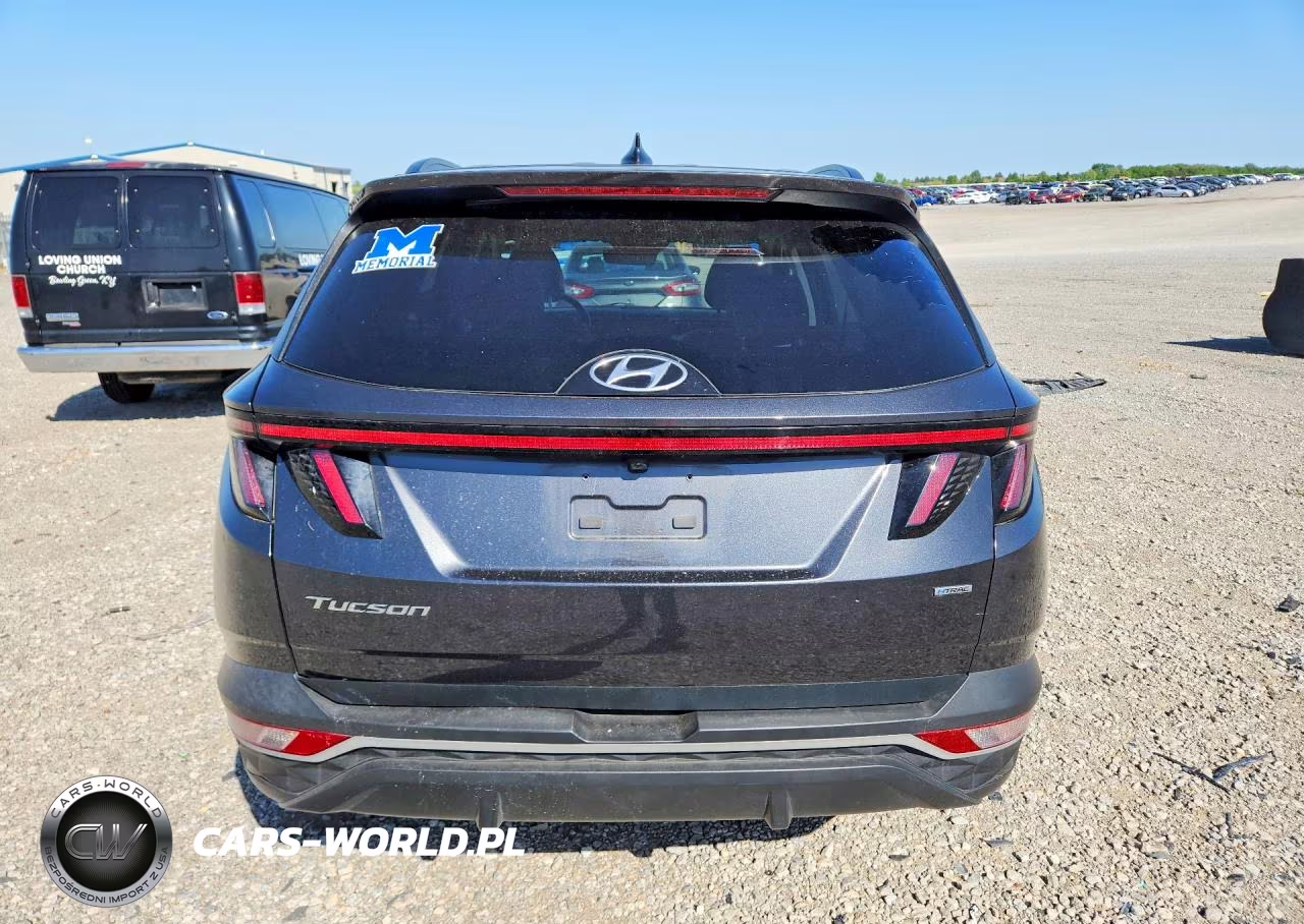 2024 Hyundai Tucson Sel VIN:5NMJFCDE1RH310181 - 6