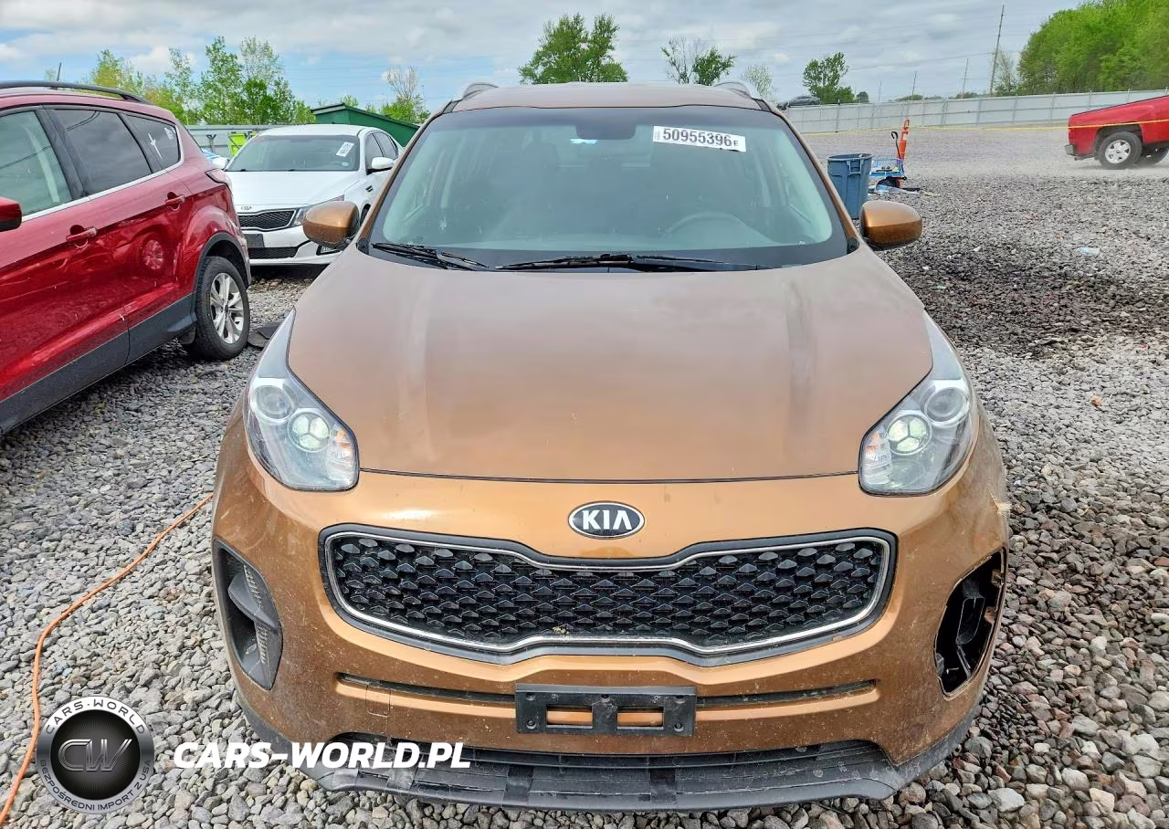 2017 Kia Sportage Lx VIN:KNDPM3AC1H7230713 - 5