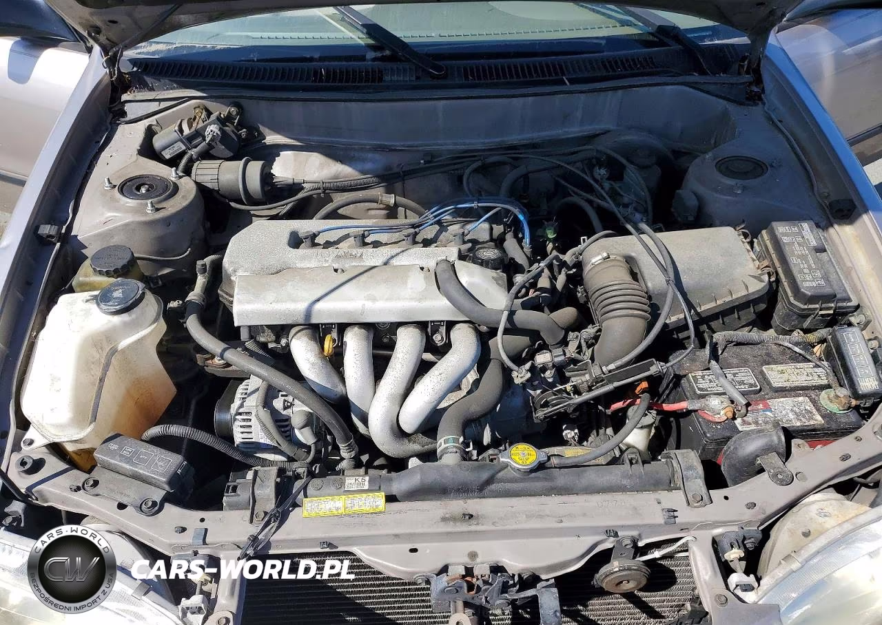 1999 Toyota Corolla Ve VIN:1NXBR12E1XZ221974 - 11