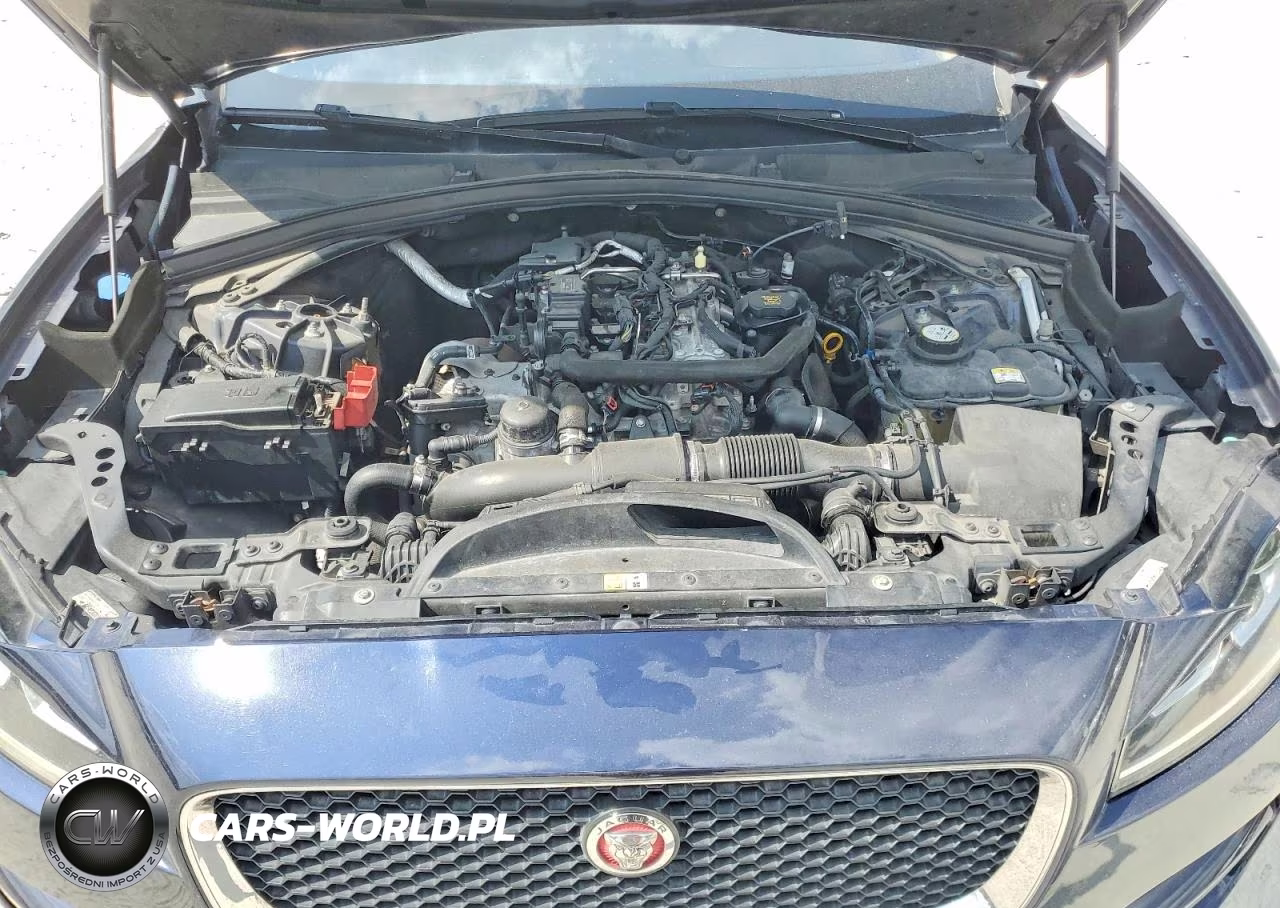 2018 Jaguar F-Pace Premium VIN:SADCJ2FX1JA278660 - 12
