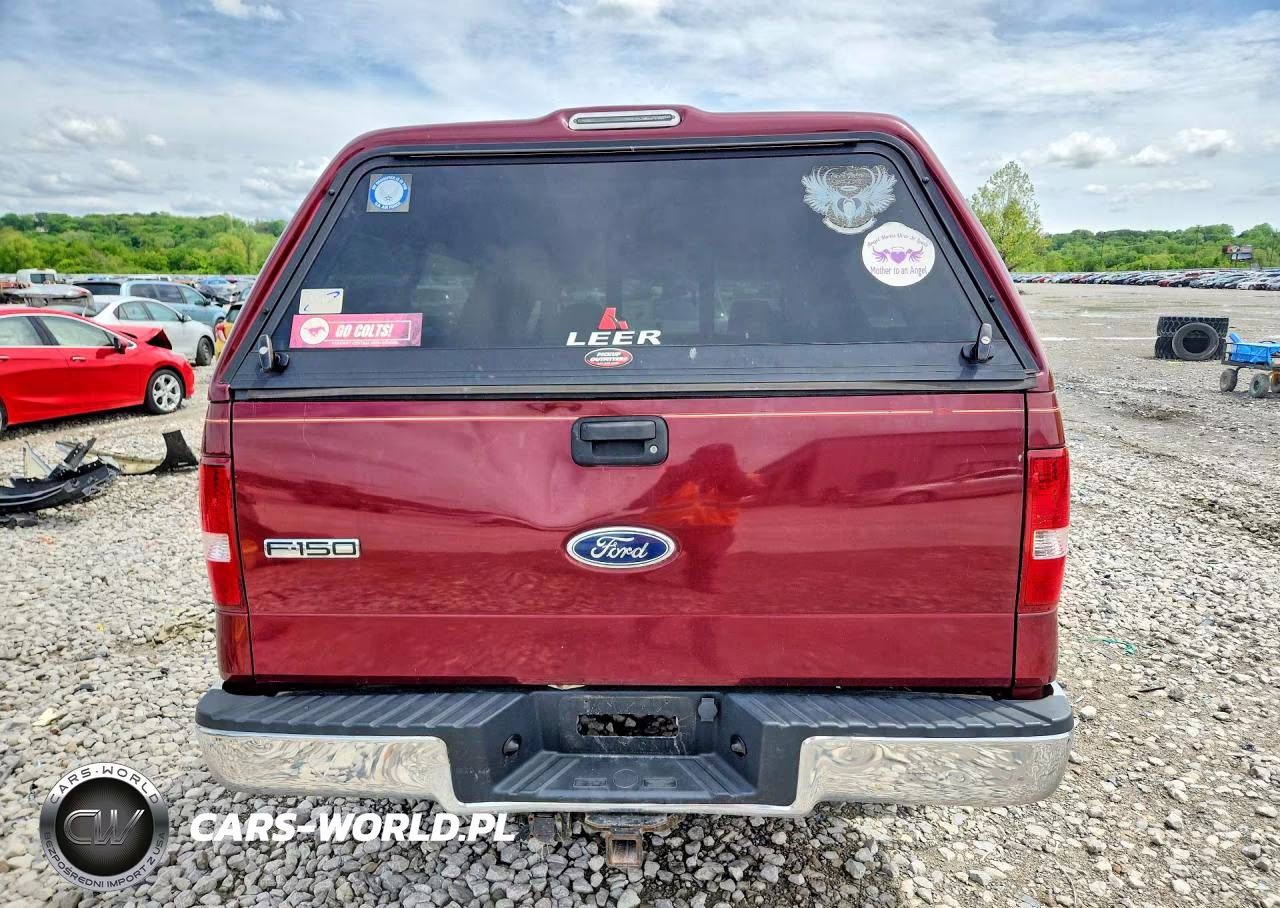 2004 Ford F150 VIN:1FTRX12W14NB14673 - 6