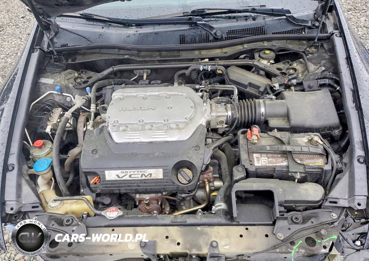 2011 Honda Accord Exl VIN:1HGCP3F83BA026064 - 11