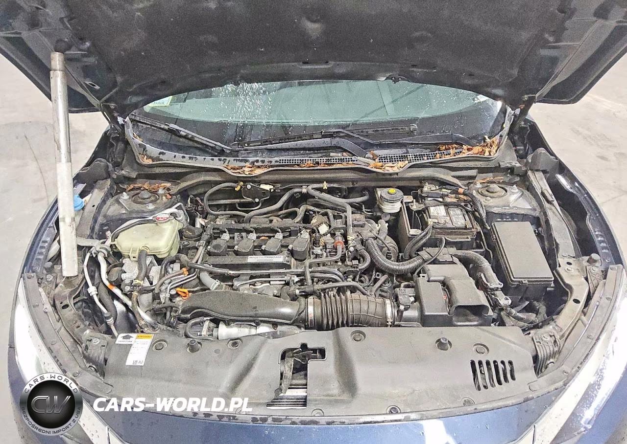 2017 Honda Civic Exl VIN:2HGFC1F77HH631137 - 11
