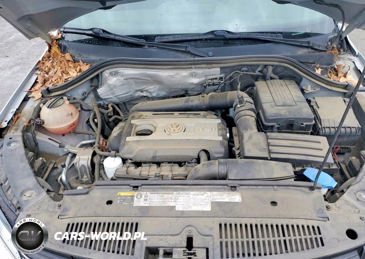 2013 Volkswagen Tiguan S VIN:WVGAV7AX9DW555358 - 12