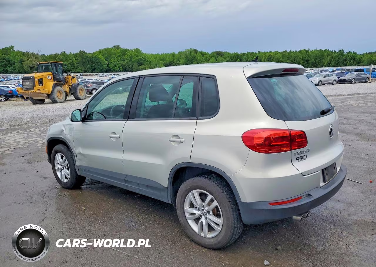 2013 Volkswagen Tiguan S VIN:WVGAV7AX9DW555358 - 2