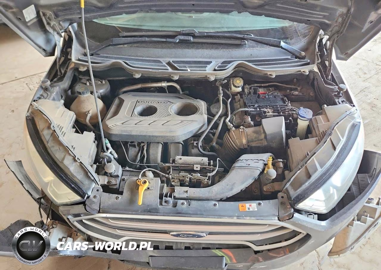2018 Ford Ecosport Se VIN:MAJ6P1UL1JC241832 - 12