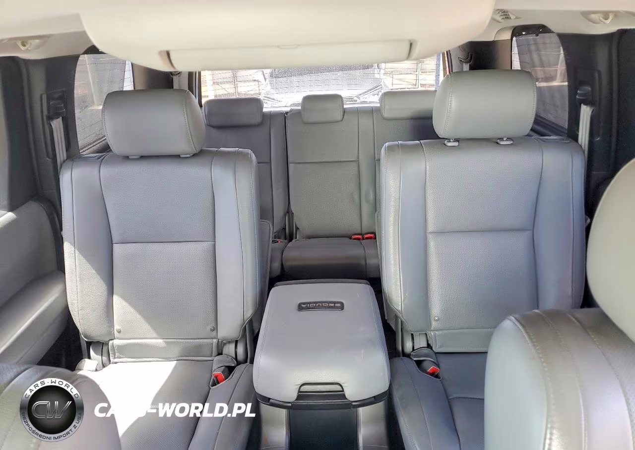 2010 Toyota Sequoia Platinum VIN:5TDDW5G15AS026328 - 10