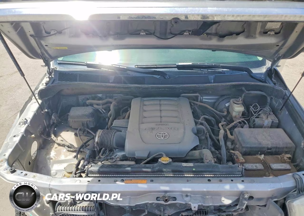 2010 Toyota Sequoia Platinum VIN:5TDDW5G15AS026328 - 12