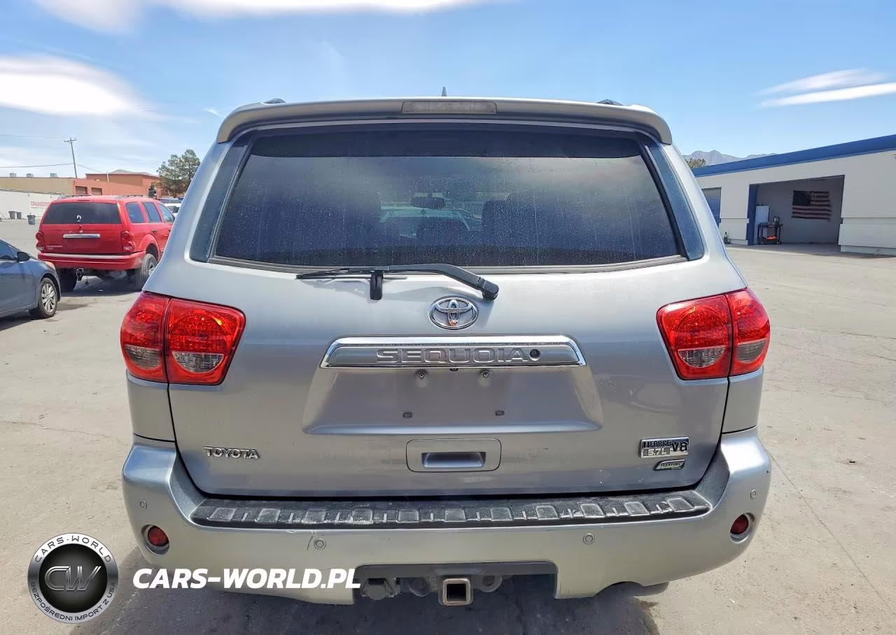 2010 Toyota Sequoia Platinum VIN:5TDDW5G15AS026328 - 6