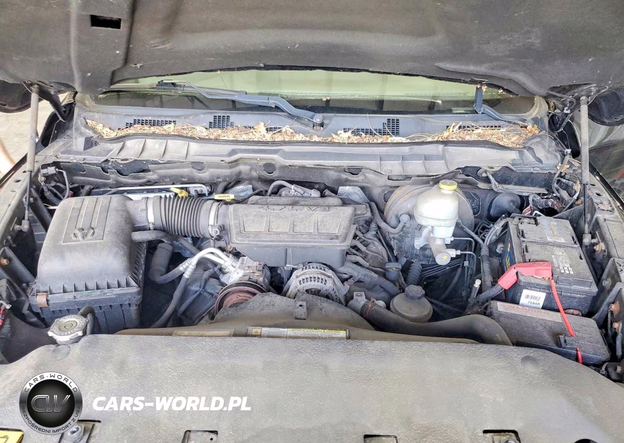 2009 Dodge Ram 1500 VIN:1D3HV18P49S752093 - 11