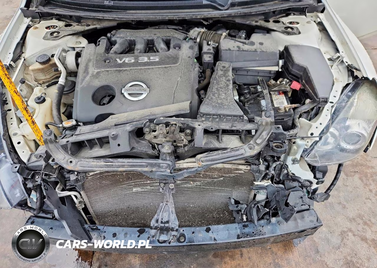 2010 Nissan Altima Sr VIN:1N4BL2EP8AC185177 - 11