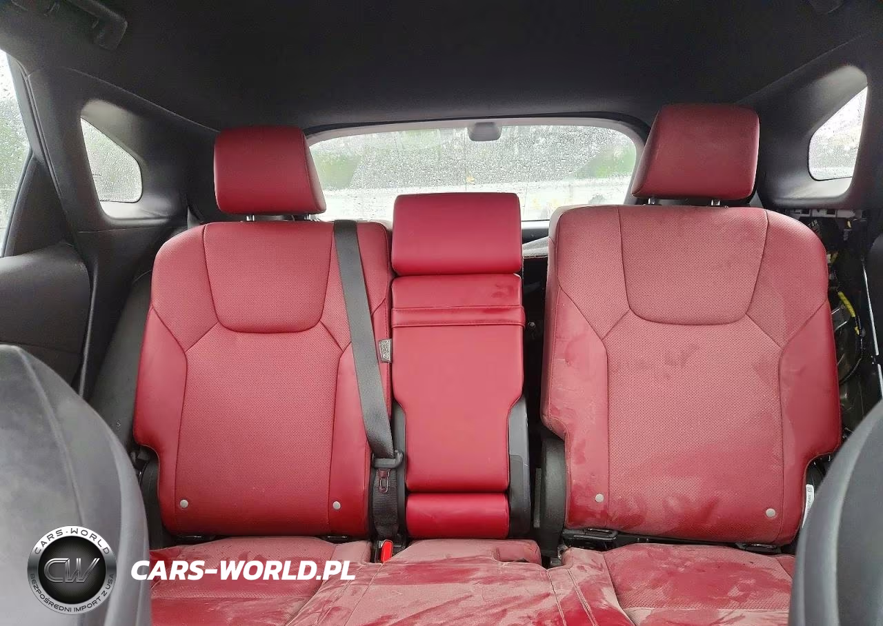 2023 Lexus Rx 350 F Sport Handling VIN:2T2BAMCA6PC010867 - 10