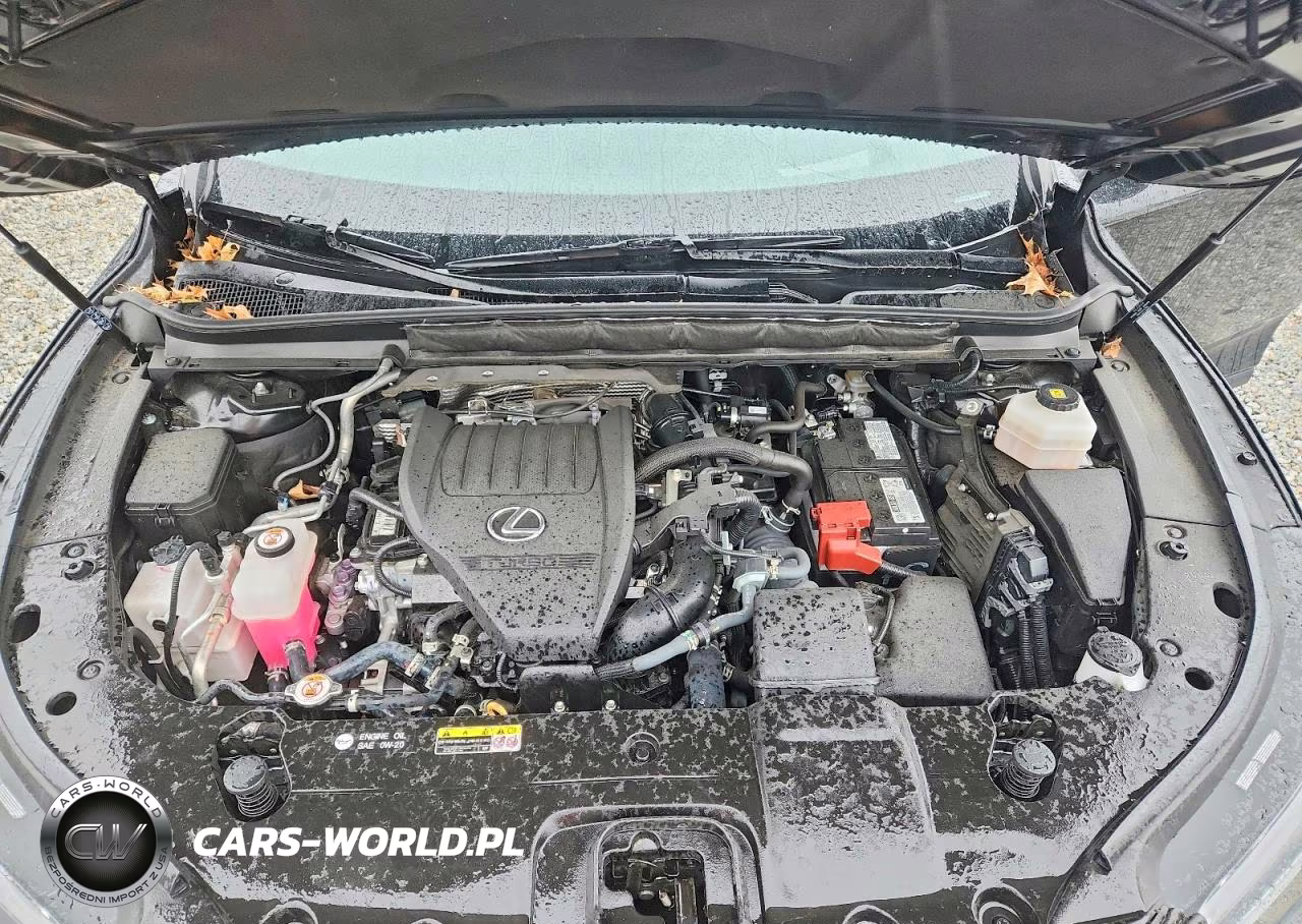 2023 Lexus Rx 350 F Sport Handling VIN:2T2BAMCA6PC010867 - 12