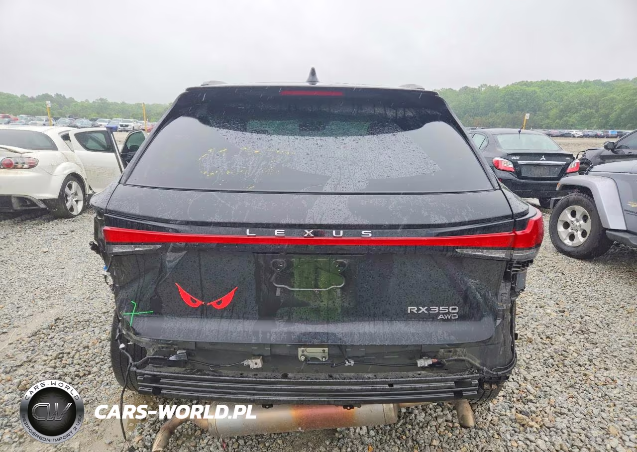 2023 Lexus Rx 350 F Sport Handling VIN:2T2BAMCA6PC010867 - 6