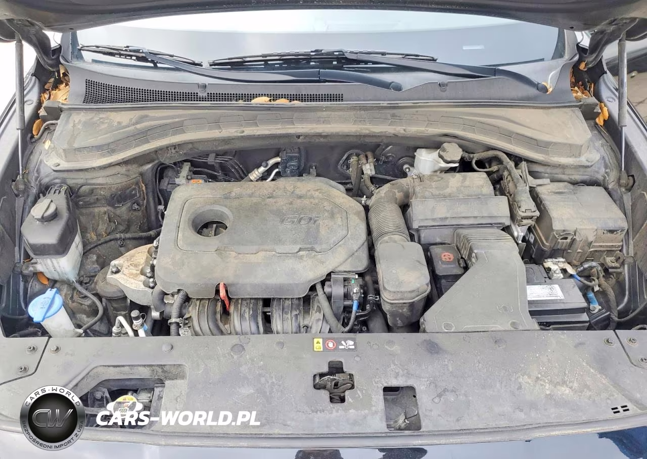2019 Hyundai Santa Fe Sel 2.4L VIN:5NMS33AD8KH131327 - 12
