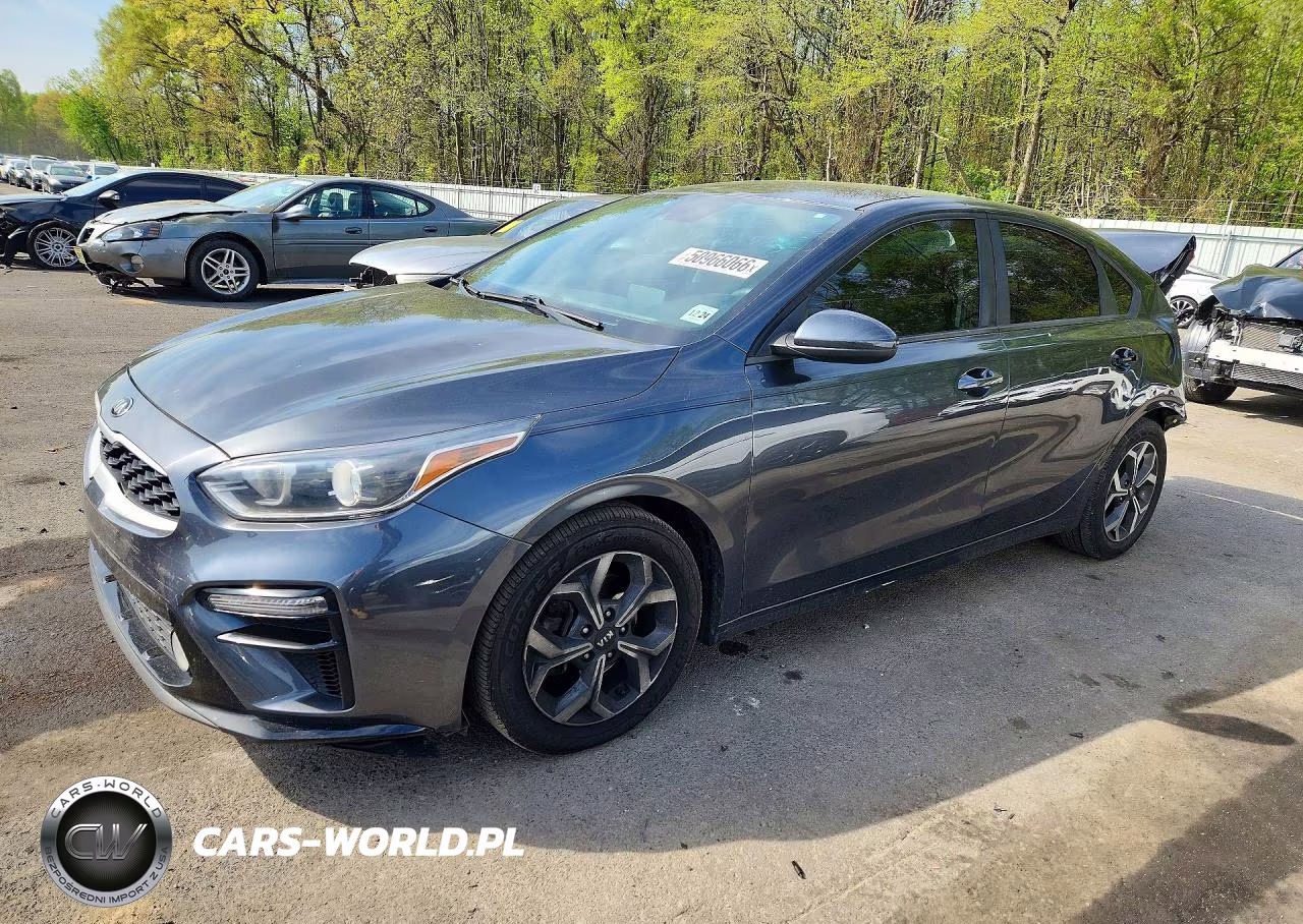 2019 Kia Forte Lxs
