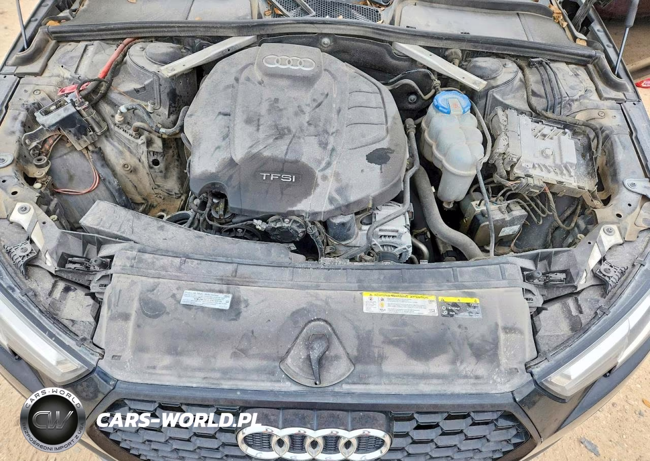 2019 Audi A4 Premium Plus VIN:WAUENAF45KN002904 - 11