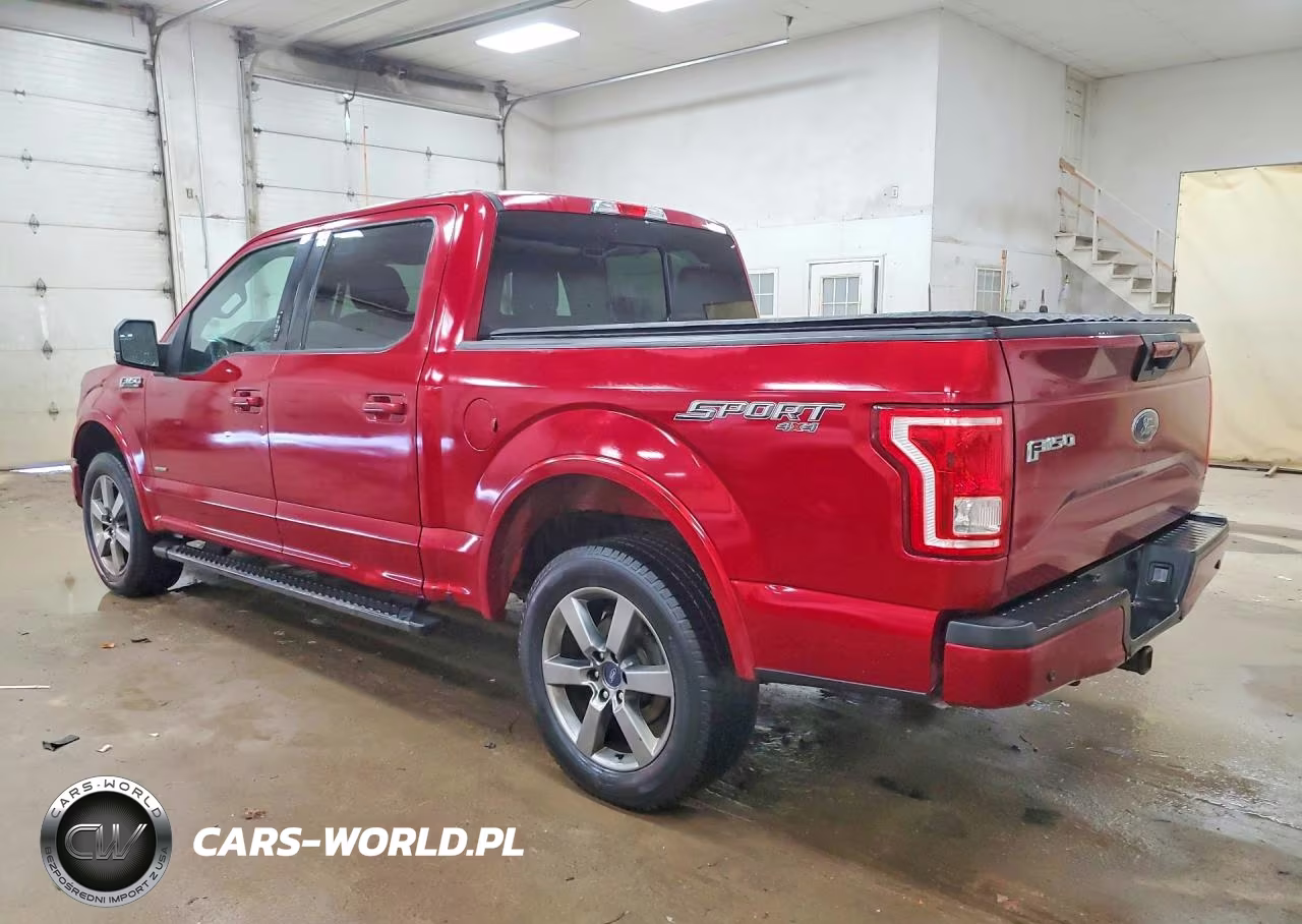 2016 Ford F150 Supercrew VIN:1FTEW1EP3GFC29229 - 2