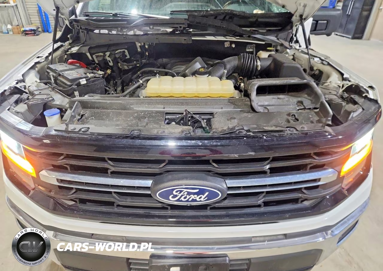 2024 Ford F150 Xlt VIN:1FTFW3L51RKE01611 - 11