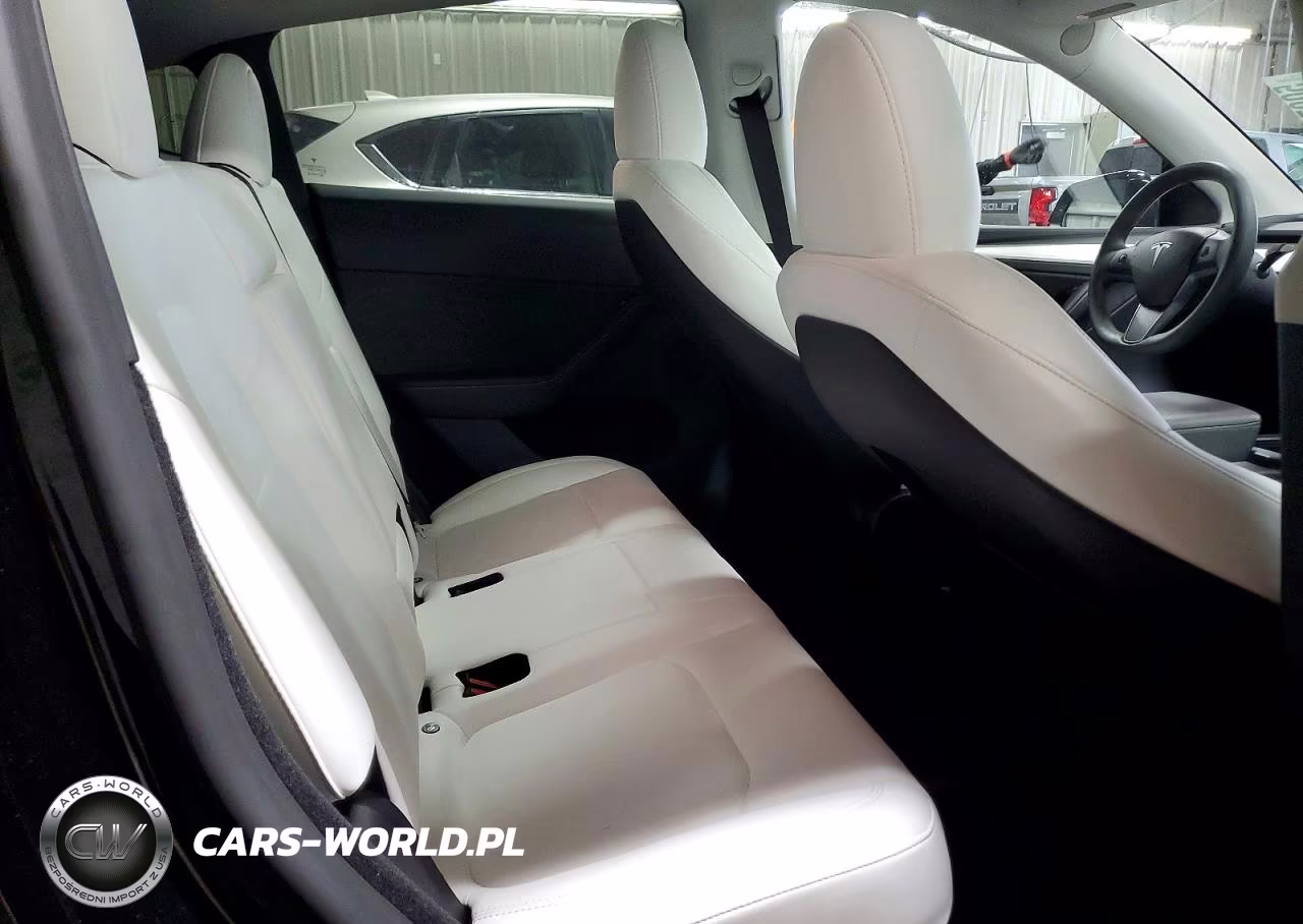2023 Tesla Model Y VIN:7SAYGDEE9PA166751 - 10