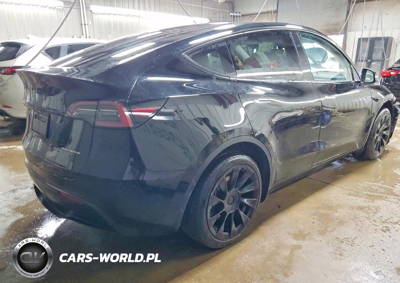 2023 Tesla Model Y VIN:7SAYGDEE9PA166751 - 3