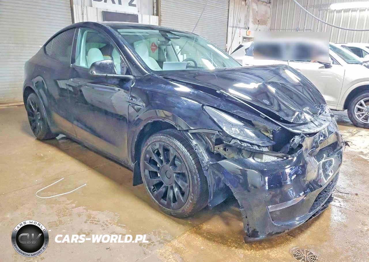 2023 Tesla Model Y VIN:7SAYGDEE9PA166751 - 4