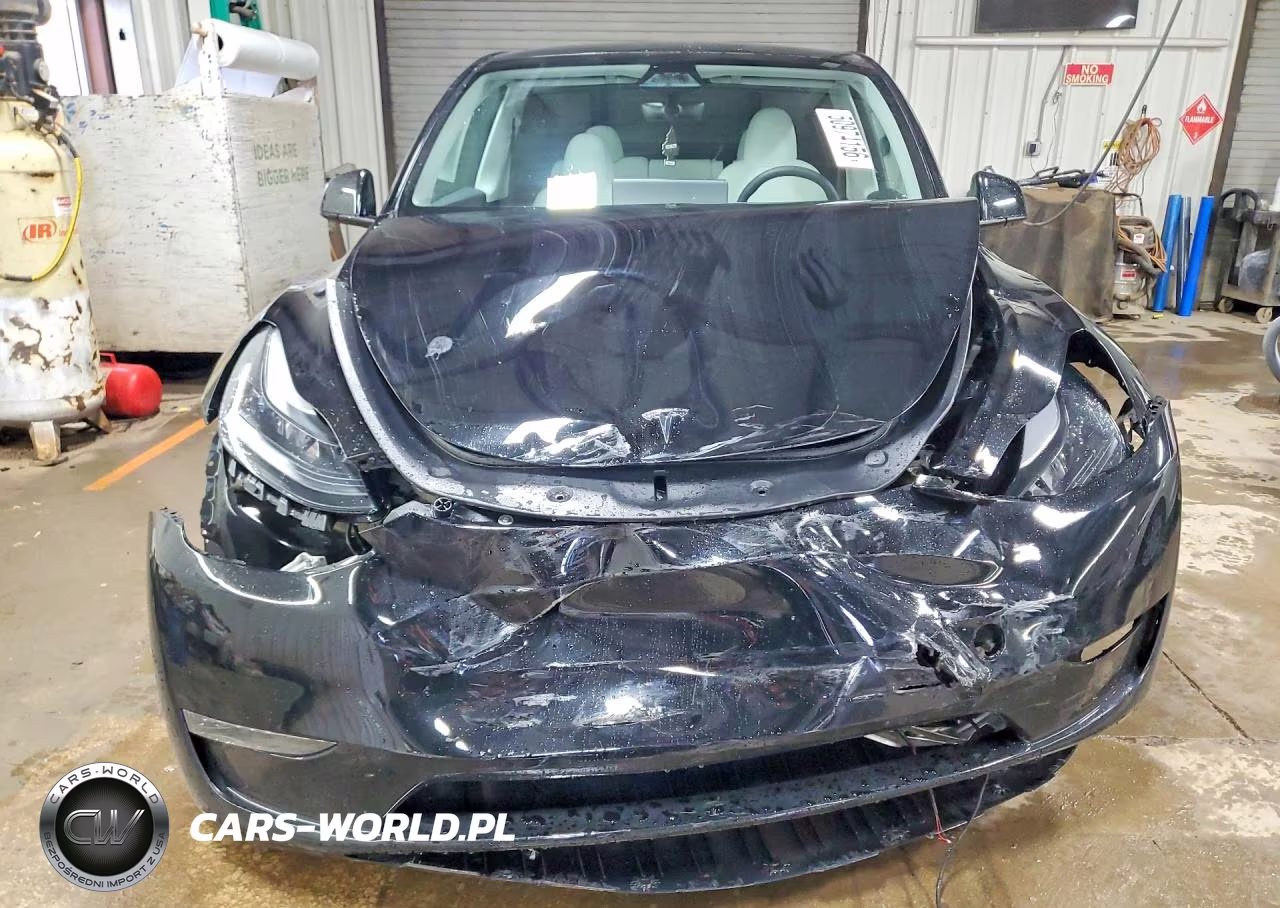 2023 Tesla Model Y VIN:7SAYGDEE9PA166751 - 5