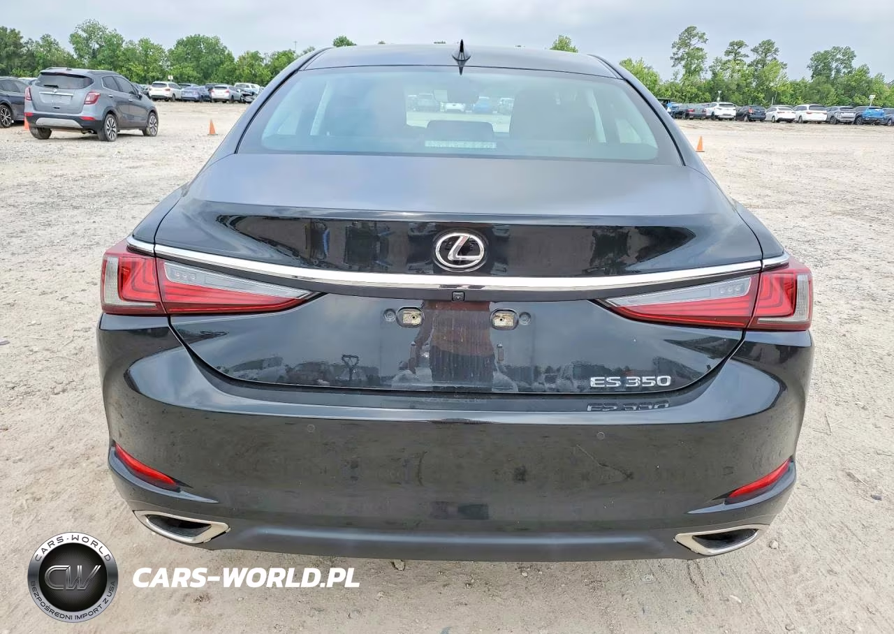 2021 Lexus Es 350 Base VIN:58ADZ1B14MU098360 - 6