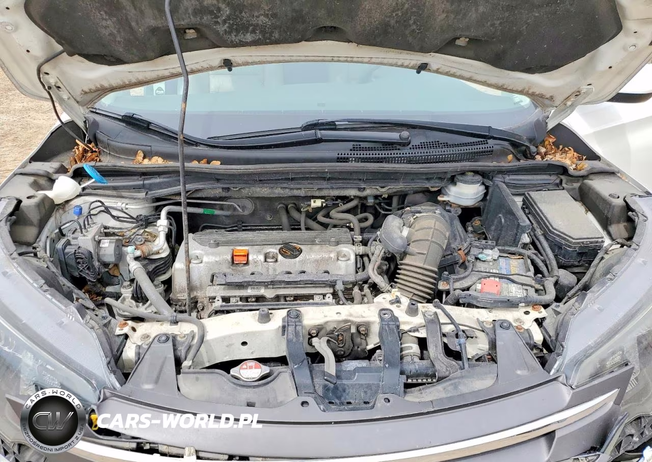 2014 Honda Cr-V Exl VIN:5J6RM4H74EL019669 - 11