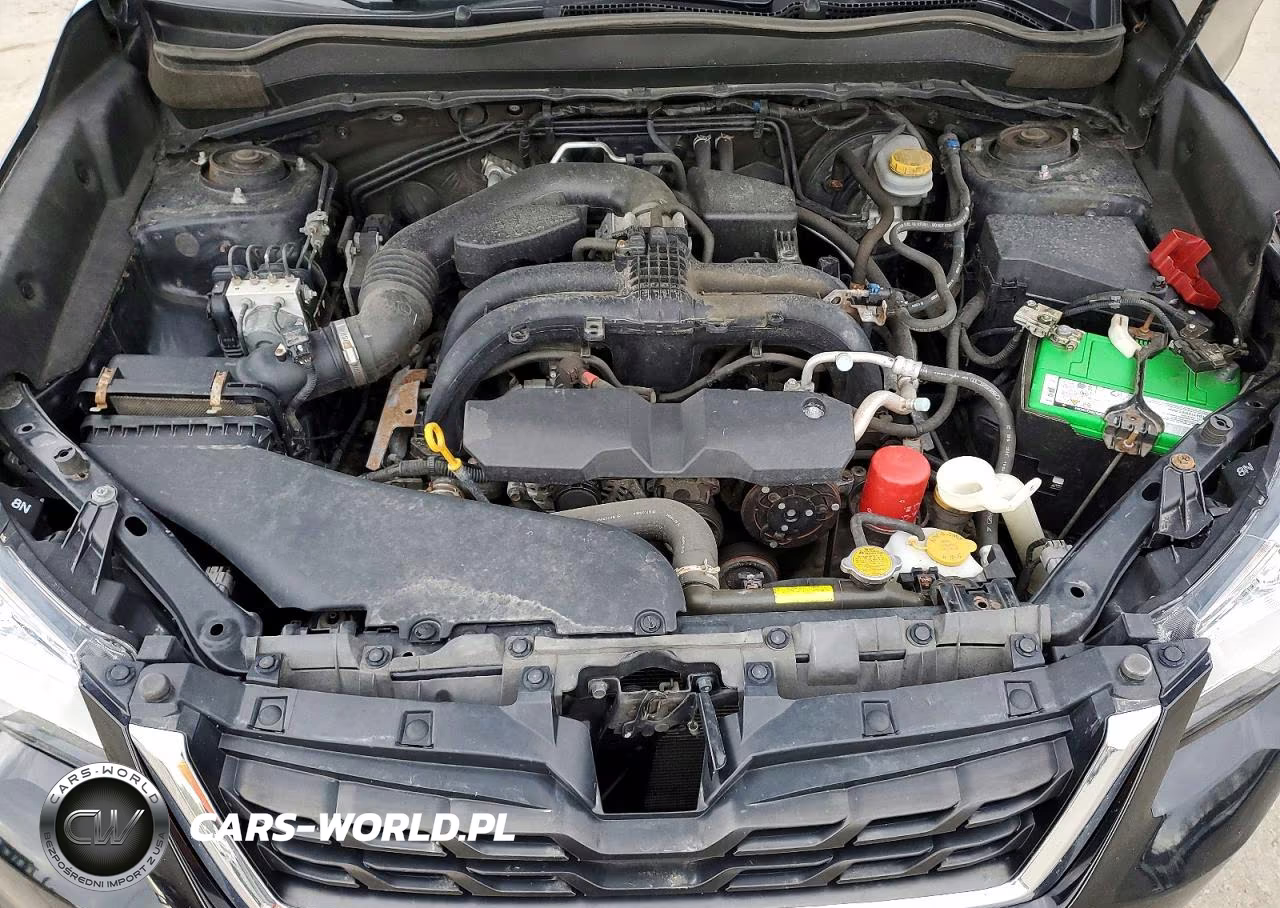 2018 Subaru Forester 2.5I Premium VIN:JF2SJAEC6JH614859 - 12