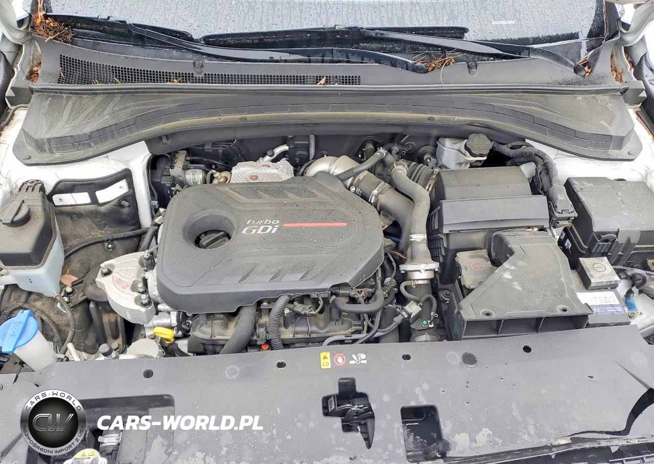 2019 Hyundai Santa Fe Limited 2.0T VIN:5NMS5CAA4KH124147 - 12