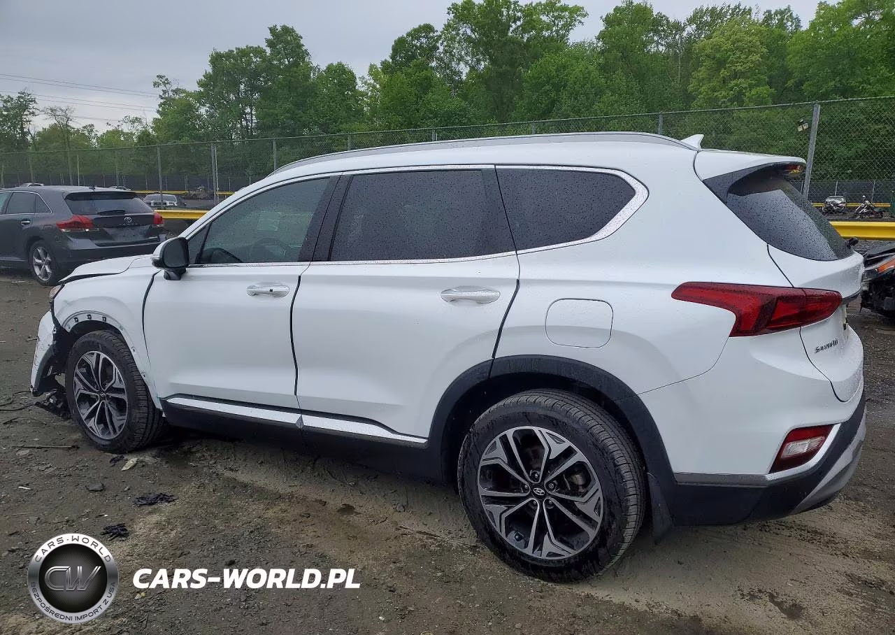 2019 Hyundai Santa Fe Limited 2.0T VIN:5NMS5CAA4KH124147 - 2