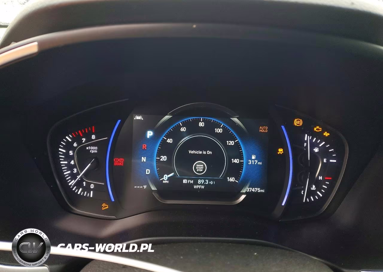 2019 Hyundai Santa Fe Limited 2.0T VIN:5NMS5CAA4KH124147 - 9