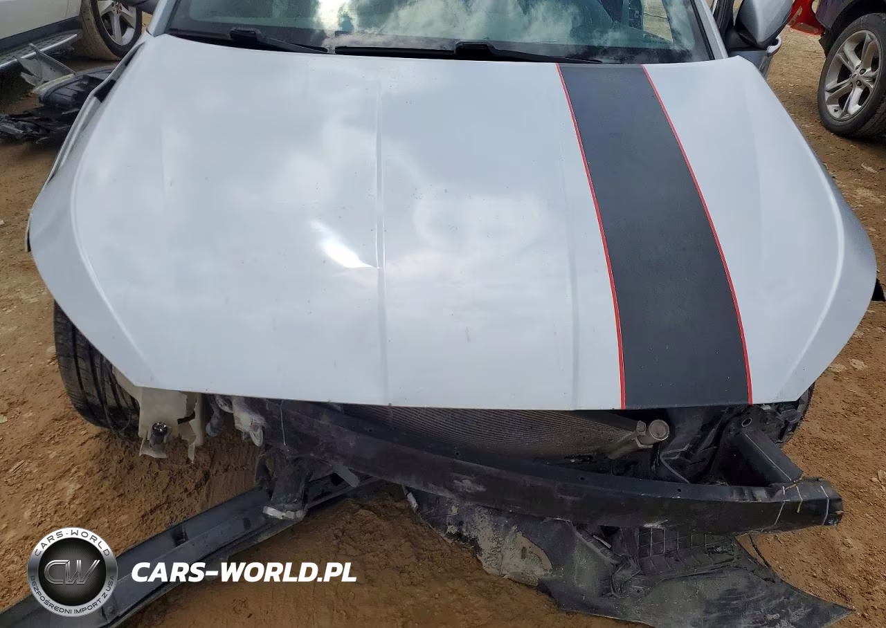 2019 Hyundai Elantra Sport VIN:KMHD04LB2KU830007 - 11