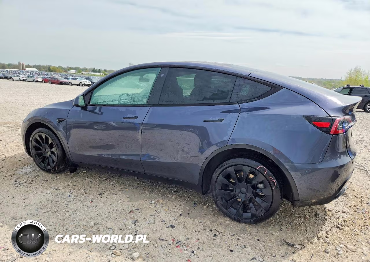 2023 Tesla Model Y VIN:7SAYGDEE0PF695489 - 2