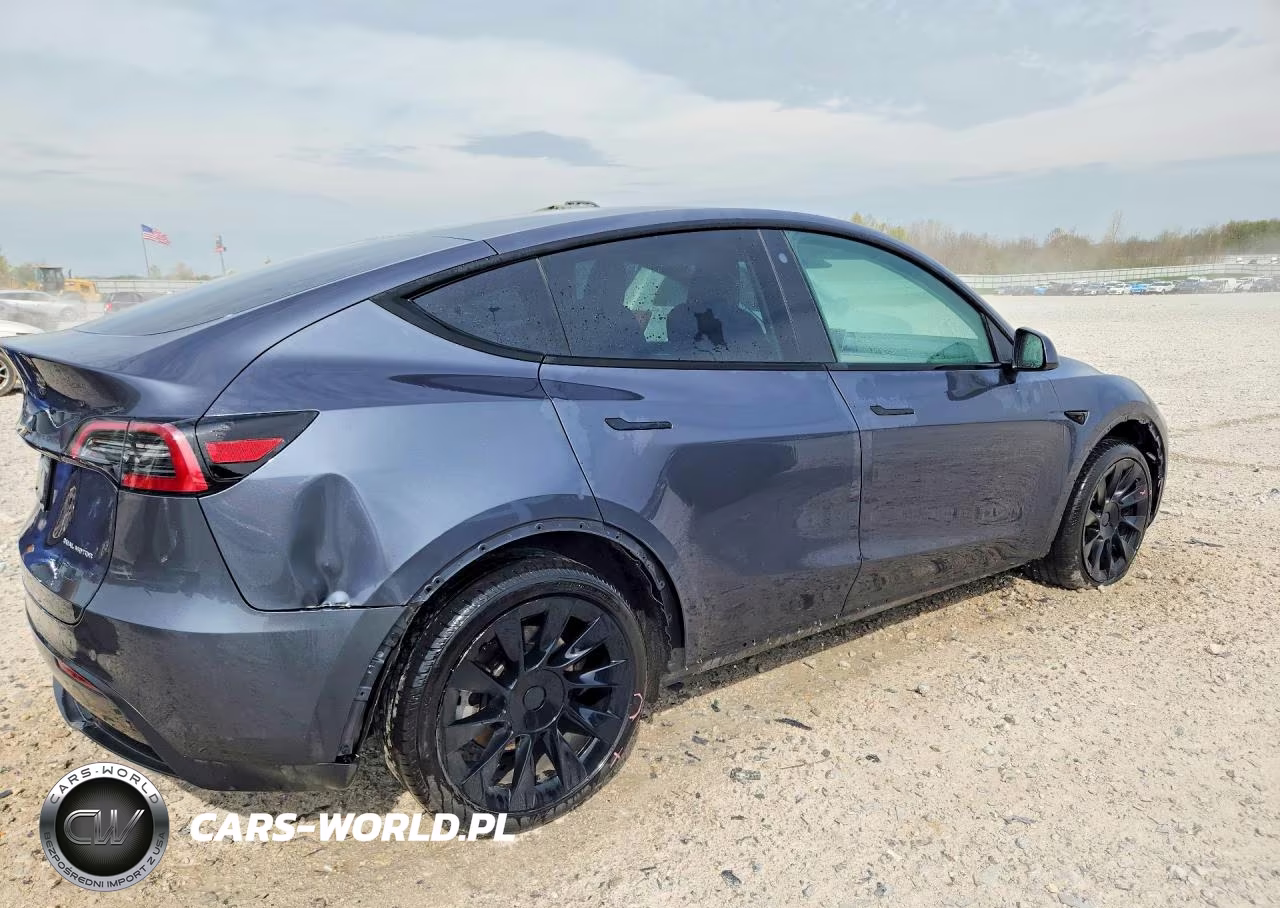 2023 Tesla Model Y VIN:7SAYGDEE0PF695489 - 3