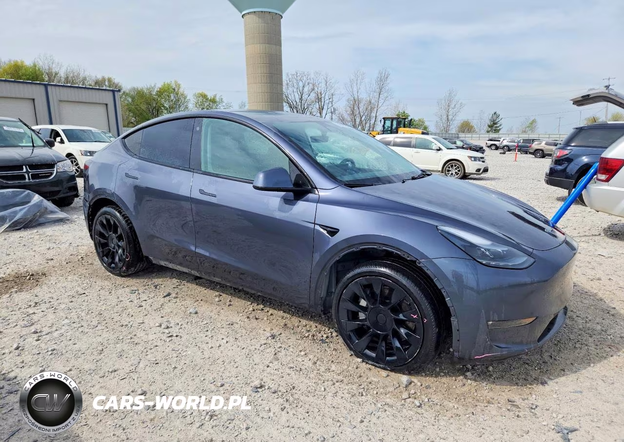 2023 Tesla Model Y VIN:7SAYGDEE0PF695489 - 4