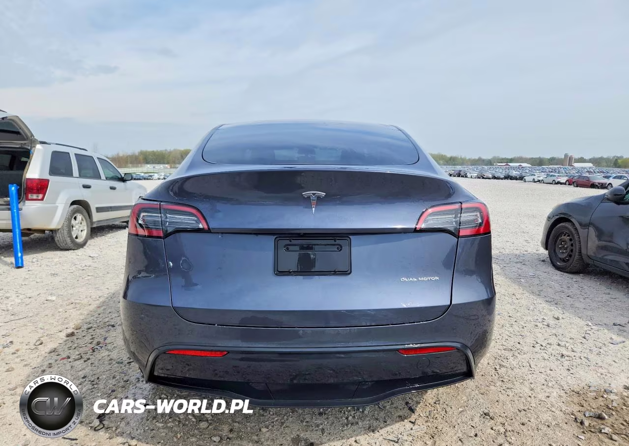 2023 Tesla Model Y VIN:7SAYGDEE0PF695489 - 6