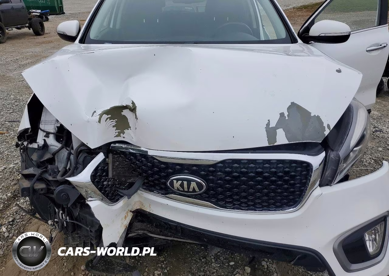 2016 Kia Sorento Ex VIN:5XYPH4A17GG123112 - 11