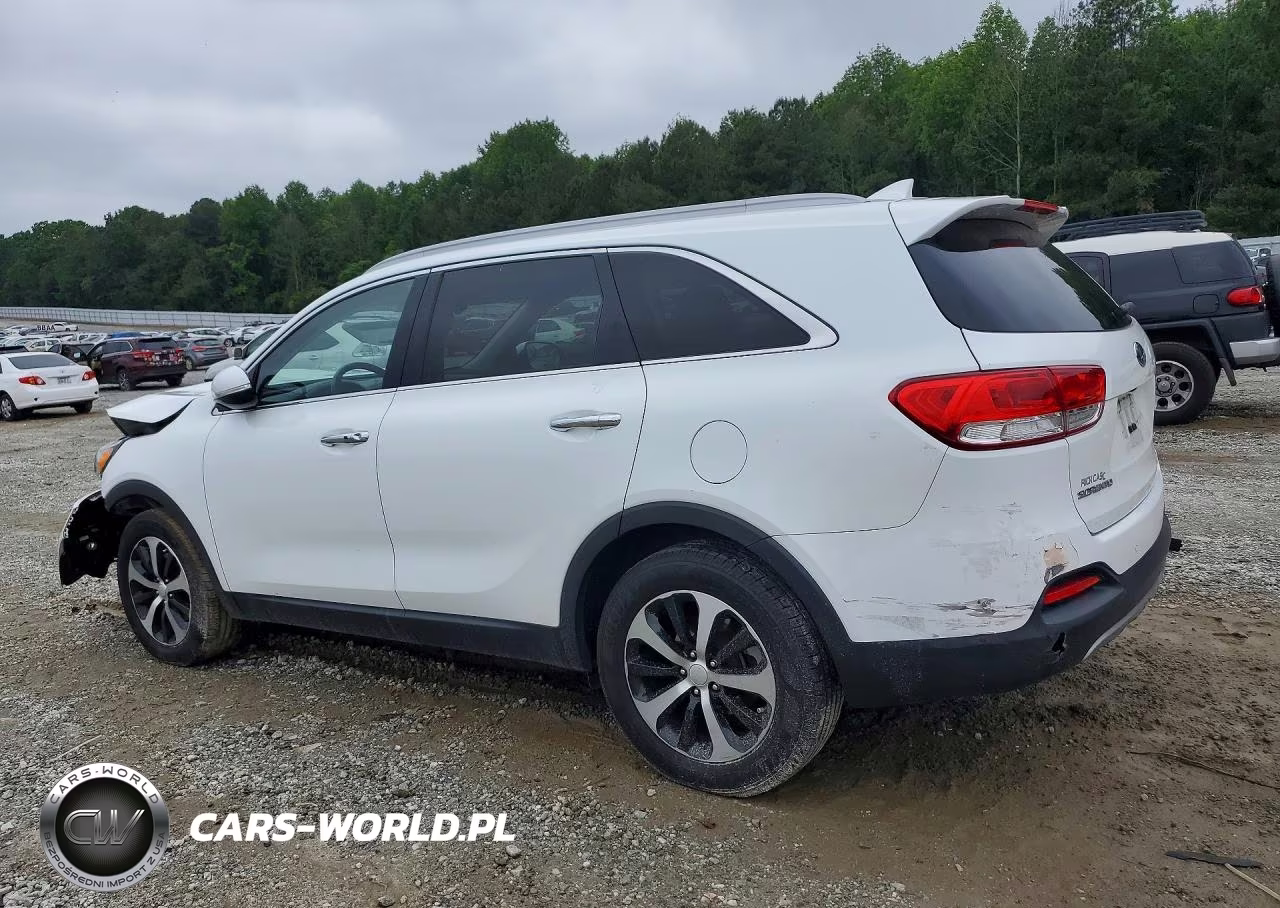 2016 Kia Sorento Ex VIN:5XYPH4A17GG123112 - 2