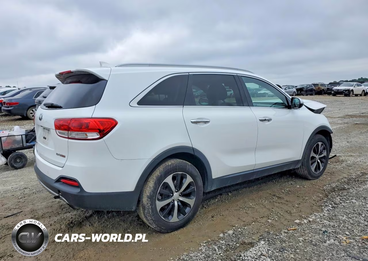 2016 Kia Sorento Ex VIN:5XYPH4A17GG123112 - 3