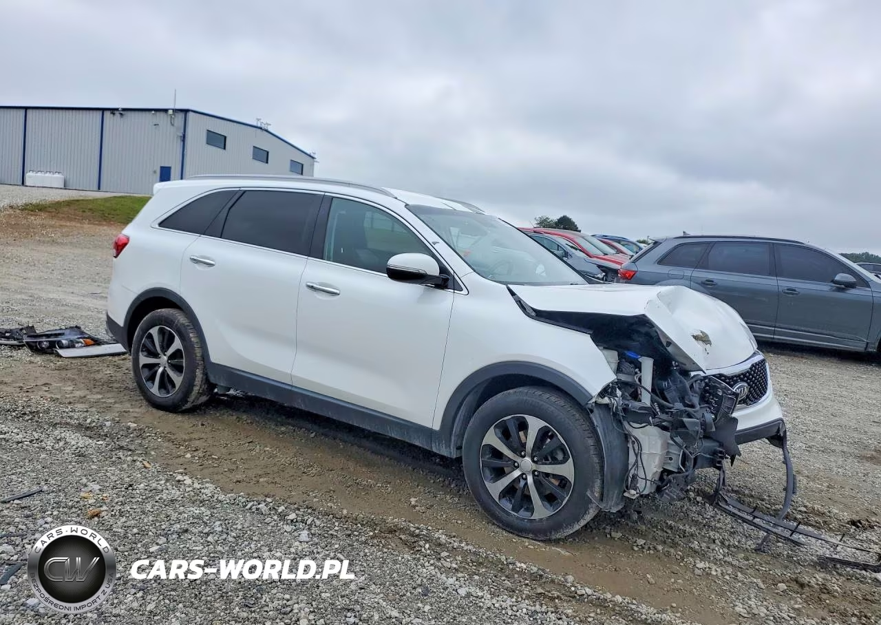 2016 Kia Sorento Ex VIN:5XYPH4A17GG123112 - 4