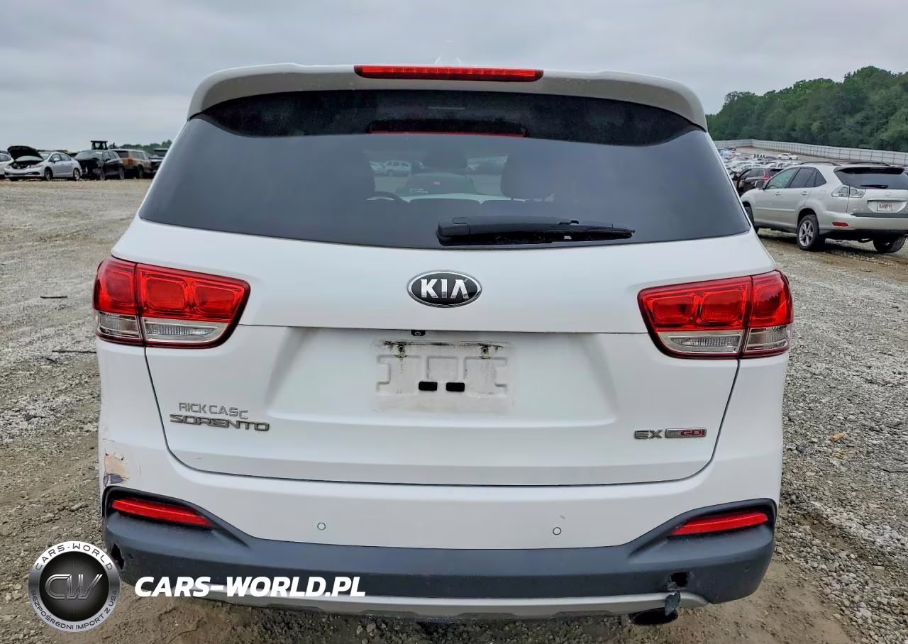 2016 Kia Sorento Ex VIN:5XYPH4A17GG123112 - 6
