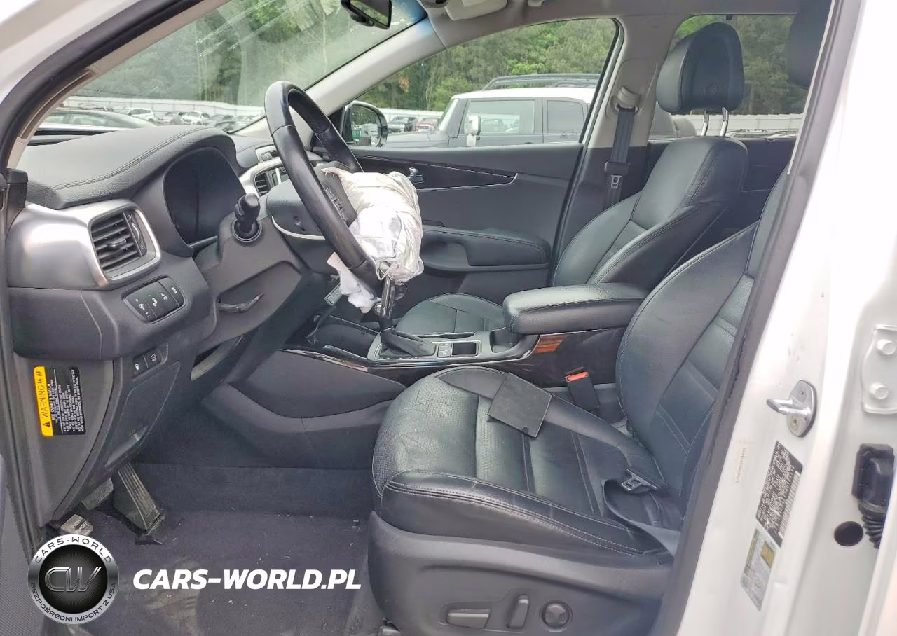 2016 Kia Sorento Ex VIN:5XYPH4A17GG123112 - 7